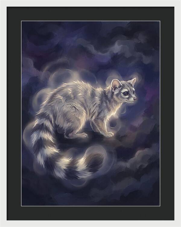 Ringtail Encounter