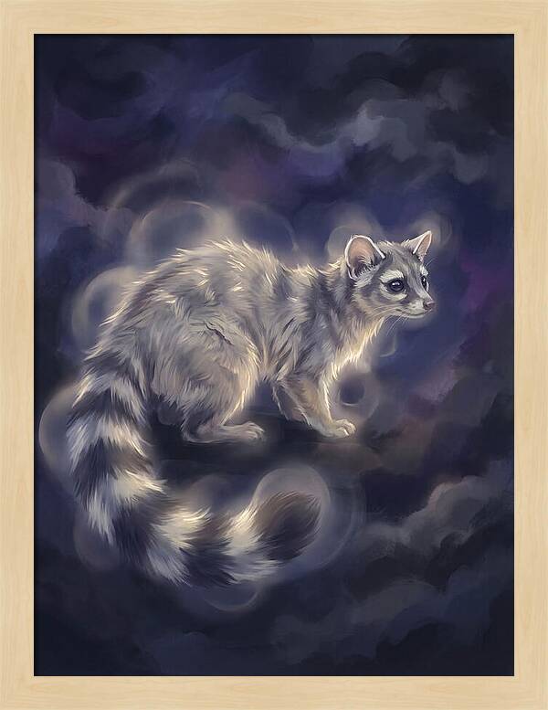 Ringtail Encounter