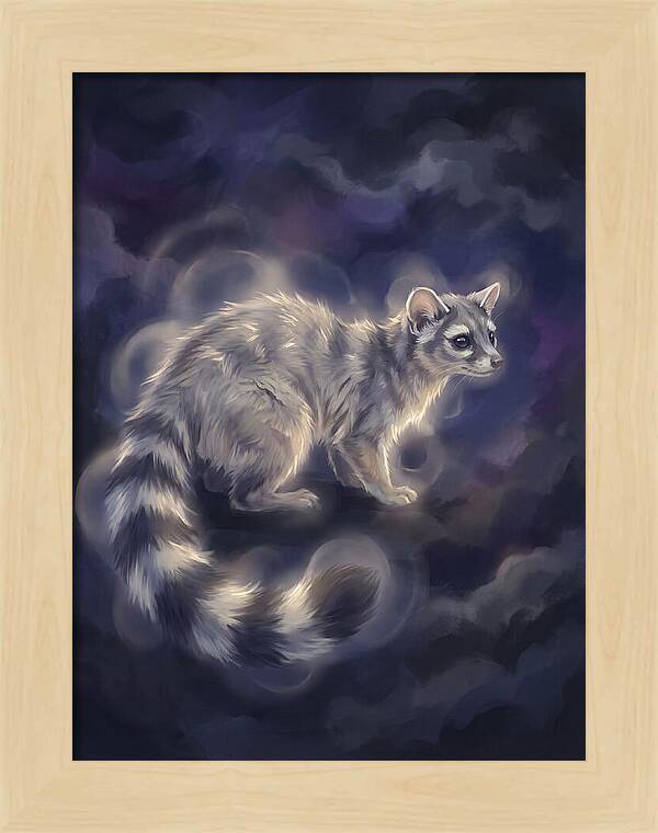 Ringtail Encounter