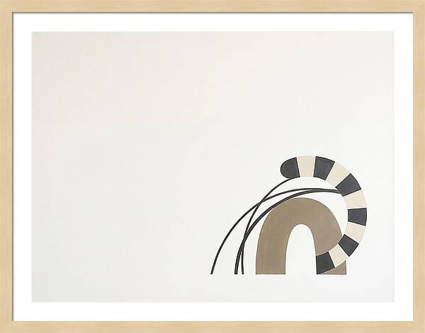 Ringtail In Minimalist Form