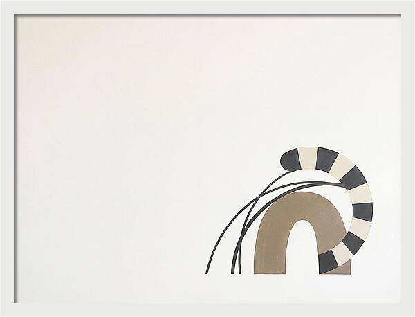 Ringtail In Minimalist Form