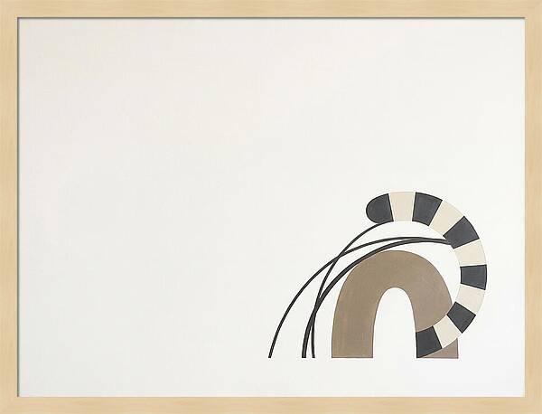 Ringtail In Minimalist Form