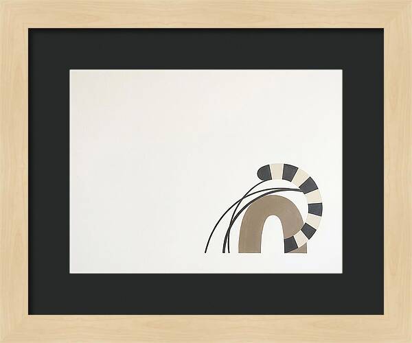 Ringtail In Minimalist Form