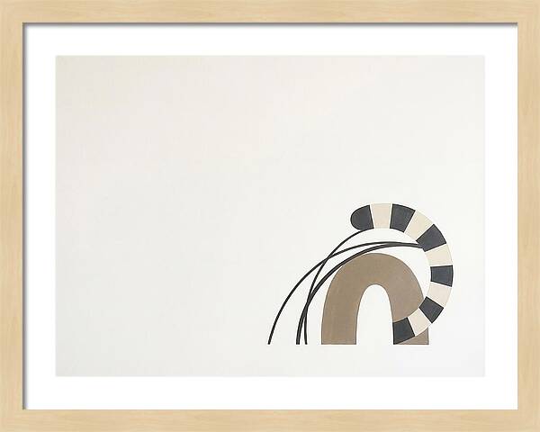 Ringtail In Minimalist Form