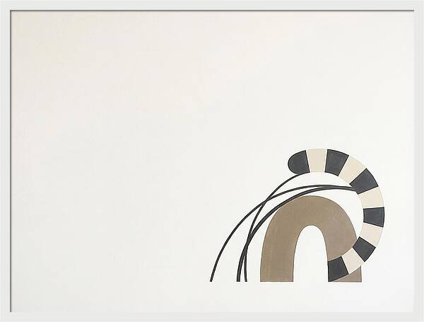 Ringtail In Minimalist Form