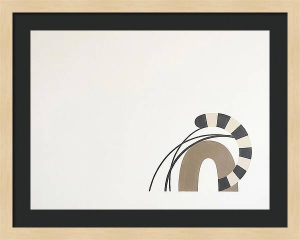 Ringtail In Minimalist Form