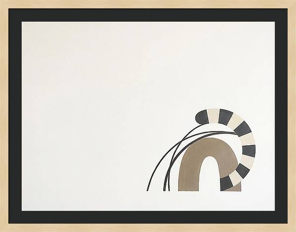 Ringtail In Minimalist Form