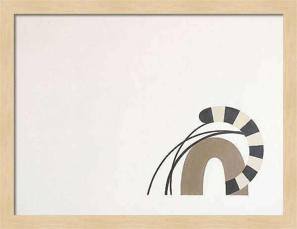 Ringtail In Minimalist Form