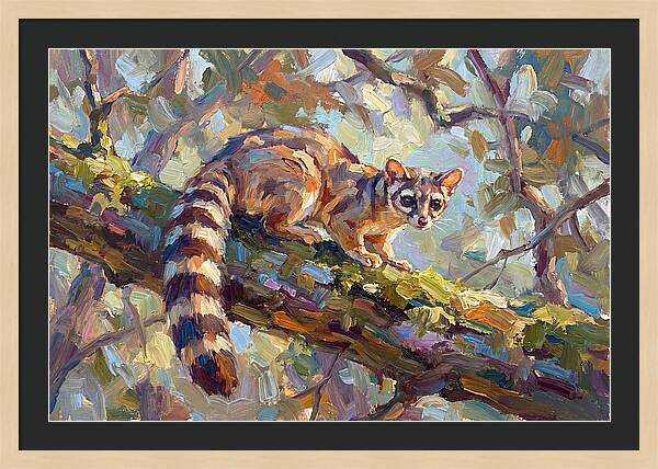 Ringtail Relaxing Among Leaves