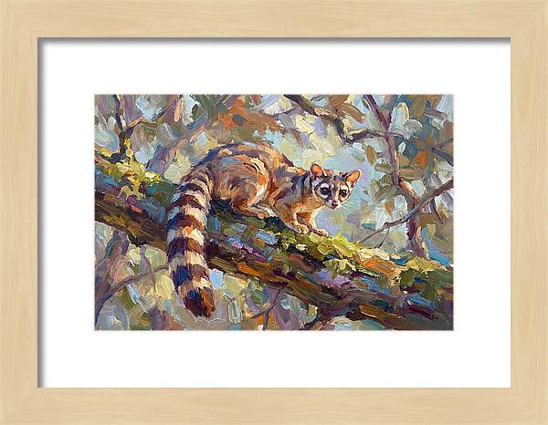 Ringtail Relaxing Among Leaves
