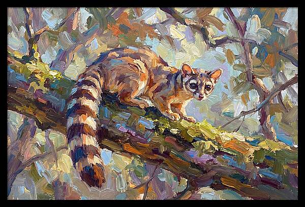 Ringtail Relaxing Among Leaves