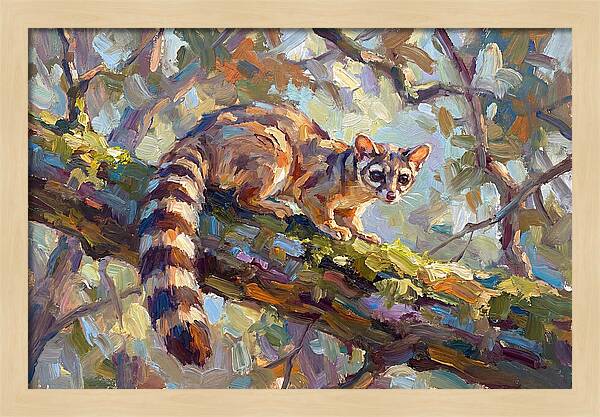 Ringtail Relaxing Among Leaves