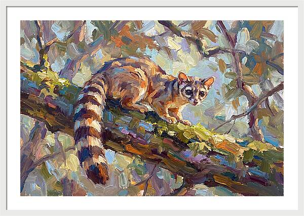 Ringtail Relaxing Among Leaves