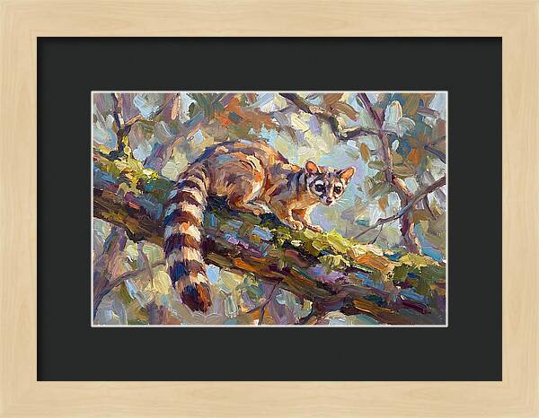 Ringtail Relaxing Among Leaves