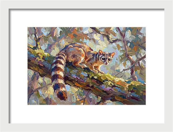 Ringtail Relaxing Among Leaves