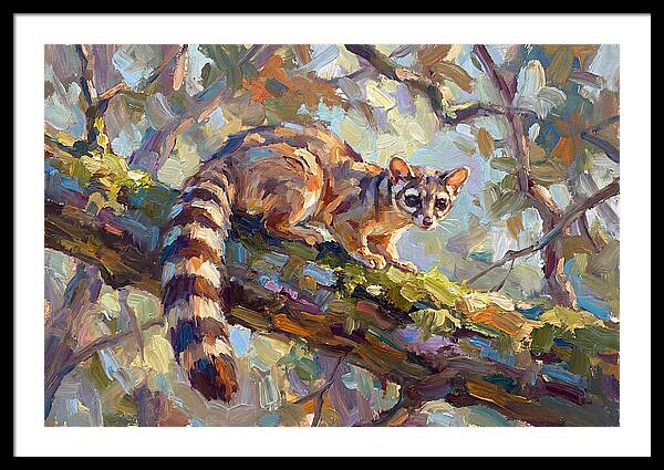 Ringtail Relaxing Among Leaves