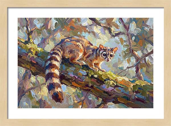Ringtail Relaxing Among Leaves