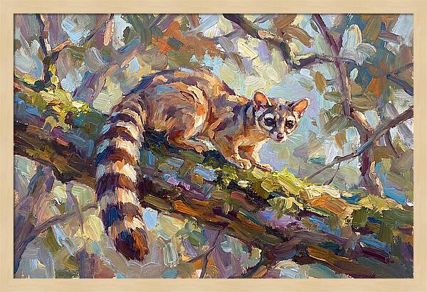 Ringtail Relaxing Among Leaves