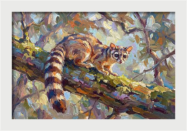 Ringtail Relaxing Among Leaves