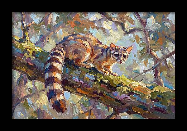 Ringtail Relaxing Among Leaves
