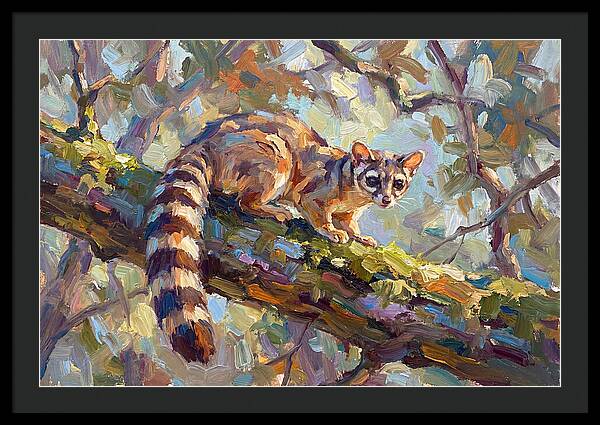 Ringtail Relaxing Among Leaves