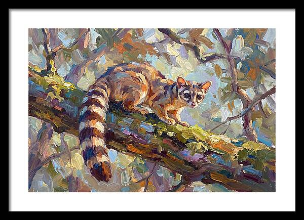 Ringtail Relaxing Among Leaves