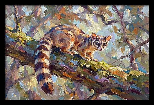 Ringtail Relaxing Among Leaves