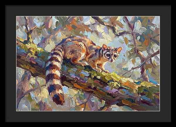 Ringtail Relaxing Among Leaves