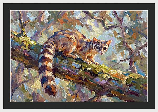Ringtail Relaxing Among Leaves