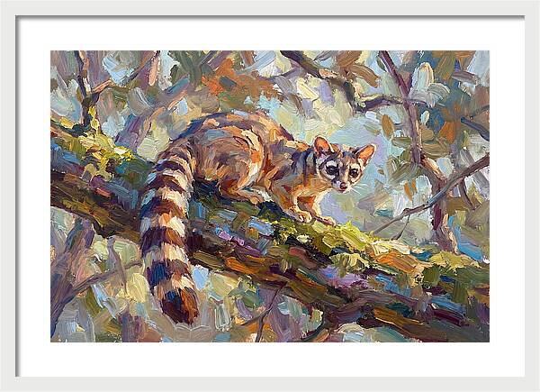 Ringtail Relaxing Among Leaves