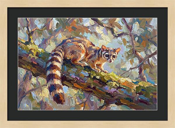 Ringtail Relaxing Among Leaves