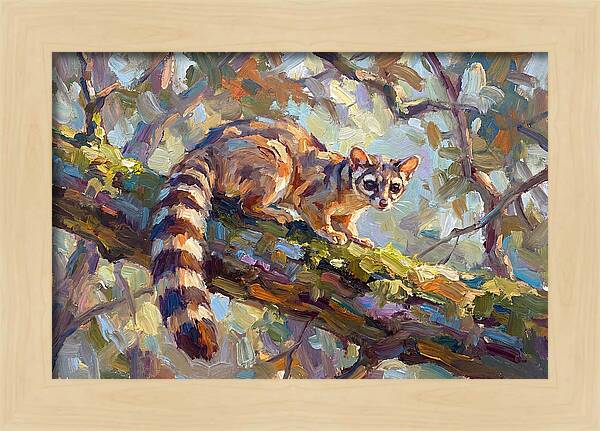 Ringtail Relaxing Among Leaves