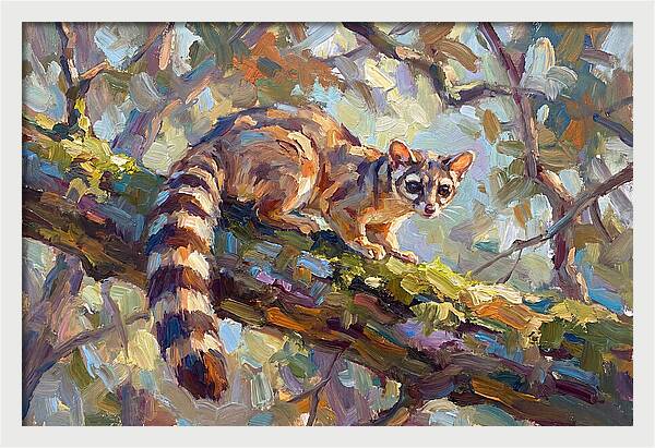 Ringtail Relaxing Among Leaves