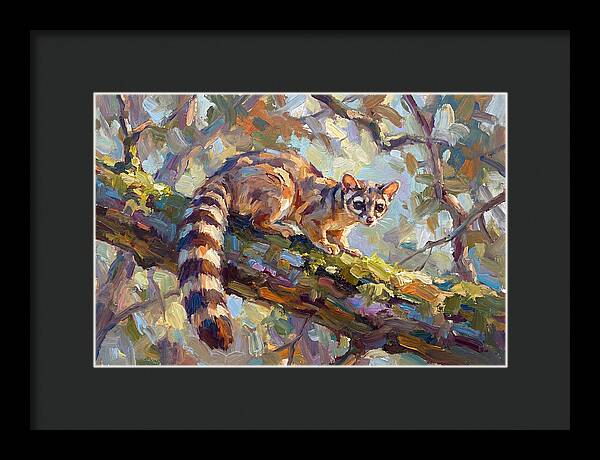 Ringtail Relaxing Among Leaves