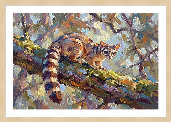 Ringtail Relaxing Among Leaves