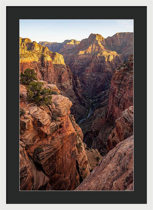 Rio Grande Gorge Serenity