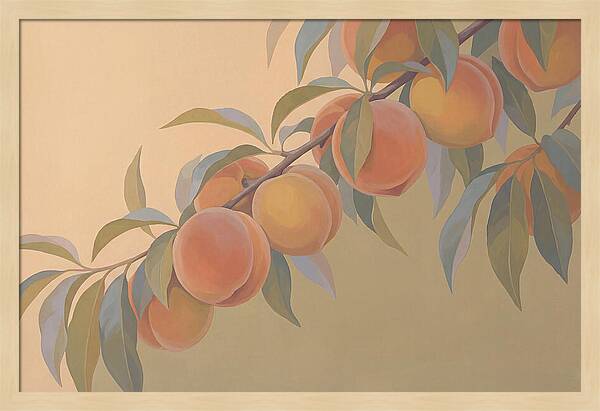 Ripe Peaches On Branch