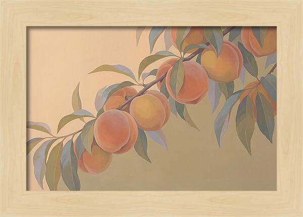 Ripe Peaches On Branch