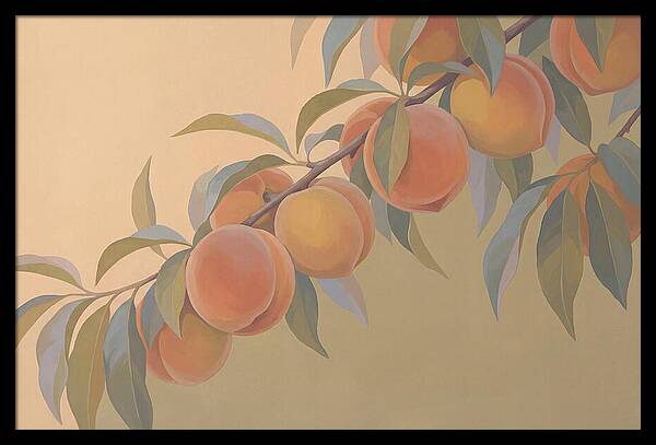 Ripe Peaches On Branch