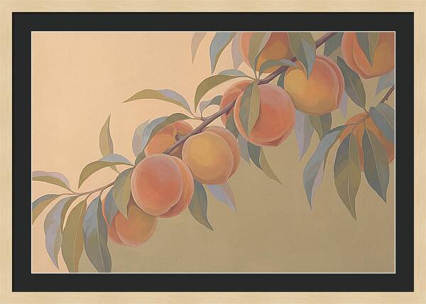 Ripe Peaches On Branch