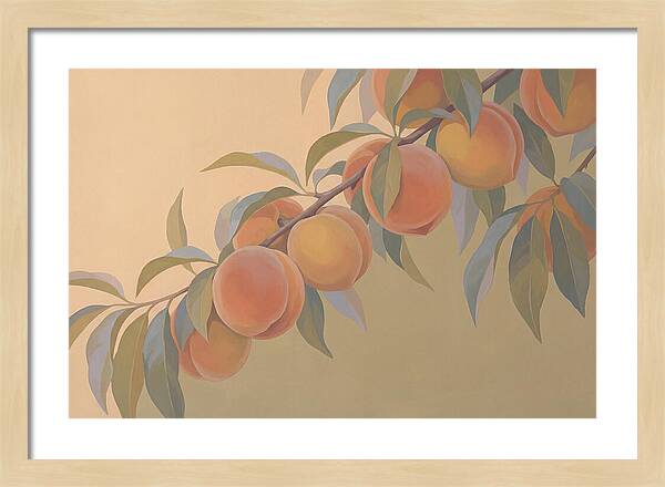 Ripe Peaches On Branch