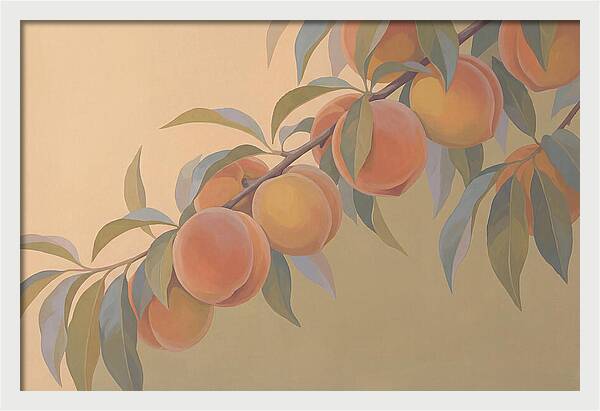 Ripe Peaches On Branch