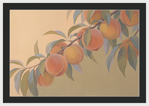 Ripe Peaches On Branch