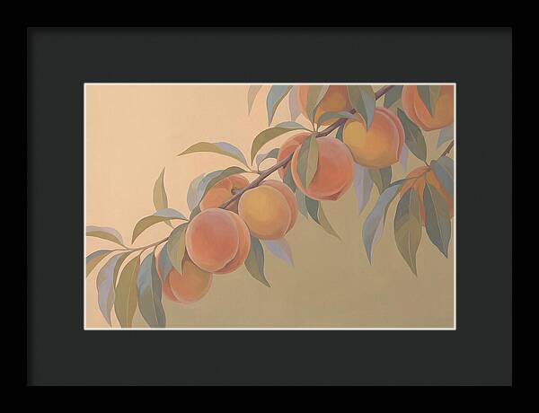 Ripe Peaches On Branch