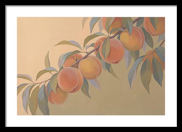 Ripe Peaches On Branch