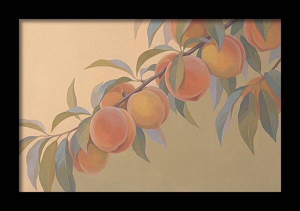 Ripe Peaches On Branch