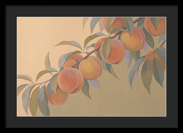 Ripe Peaches On Branch