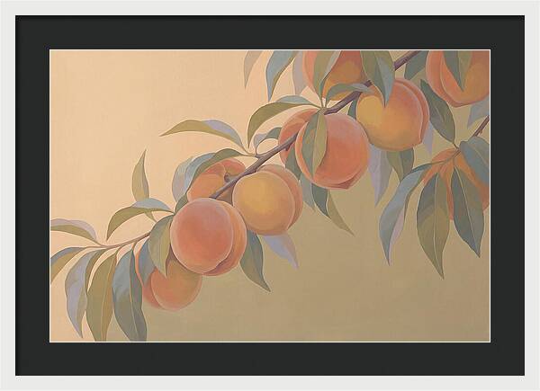 Ripe Peaches On Branch