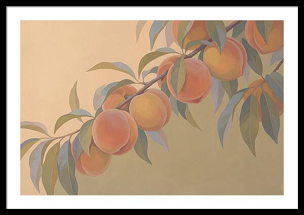 Ripe Peaches On Branch