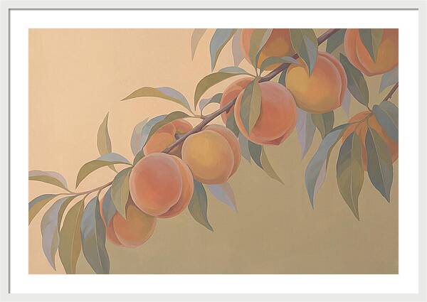 Ripe Peaches On Branch